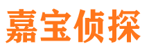 湘阴市调查公司